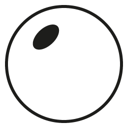 Reading - Seiko Polycarbonate 1.59